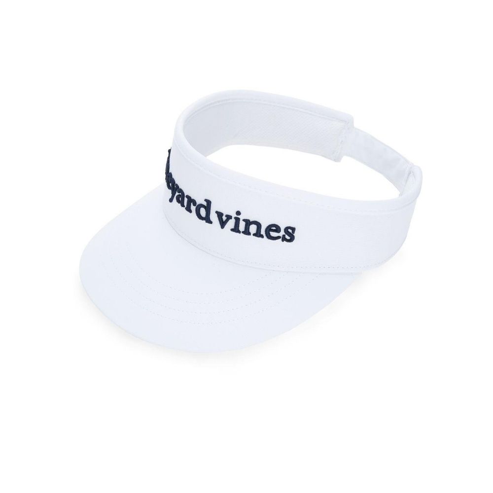 Visor